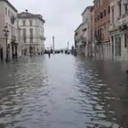 Estivo